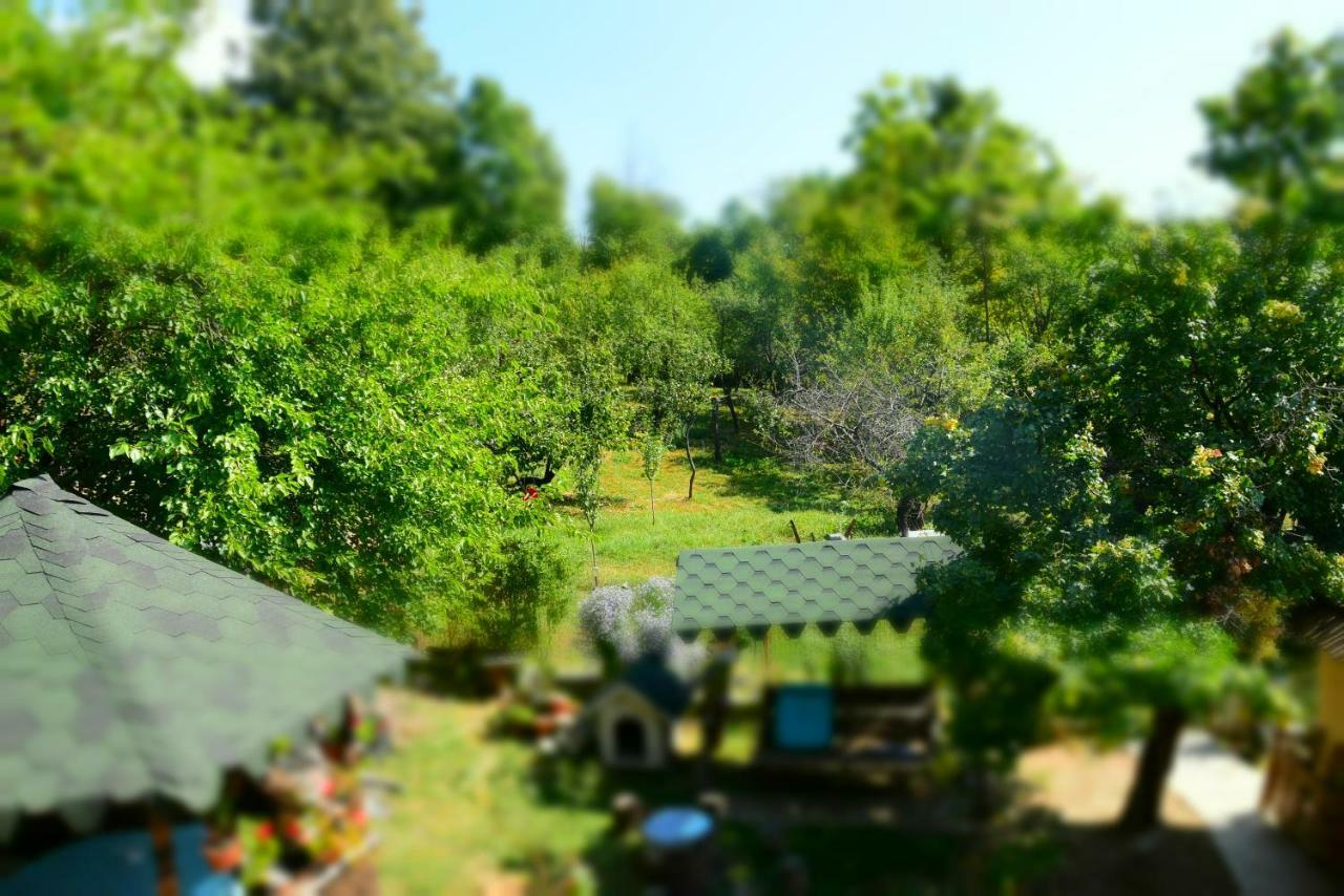Casa Smeilor Хорезу Номер фото